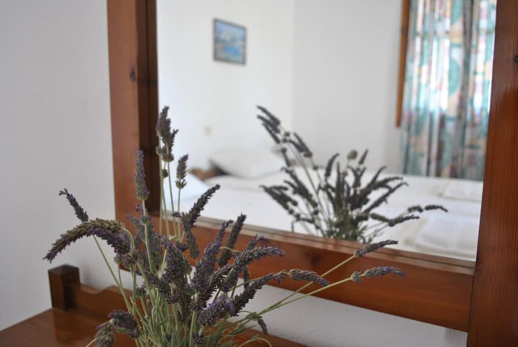 Antigoni Apartments 'Lavender Room' Mílatos Buitenkant foto